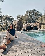 Honeyguide Tented Safari Camps - Mantobeni