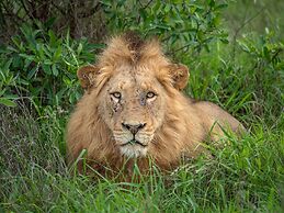 Honeyguide Tented Safari Camps - Mantobeni