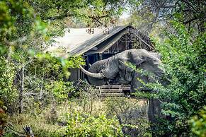 Honeyguide Tented Safari Camps - Mantobeni