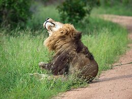 Honeyguide Tented Safari Camps - Mantobeni
