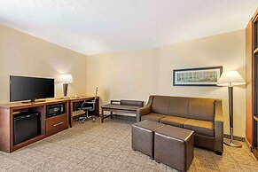 Comfort Suites East Lincoln - Mall Area
