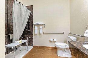 Best Western Plus Greenville South