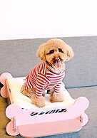 Holiday Inn Alpensia Pyeongchang Suites by IHG