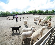 Holiday Inn Alpensia Pyeongchang Suites by IHG