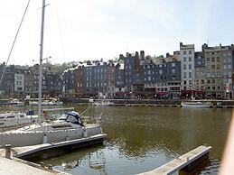 Adonis Honfleur