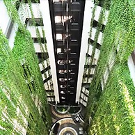 Littoral Tambaú Flat