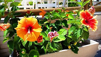 Hotel Pousada do Sol