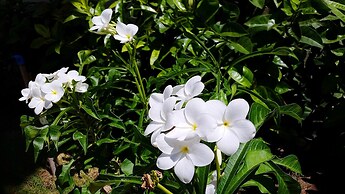 Hotel Pousada do Sol