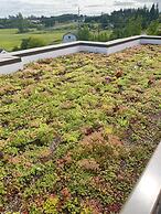 Holiday Inn Express Hotel & Suites NORTH SEQUIM by IHG