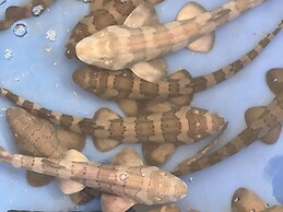 Pullman Phuket Panwa Beach Resort