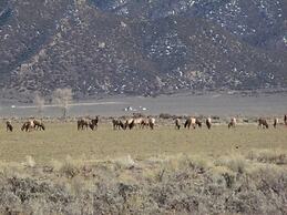 Narrow Gauge Railroad Inn