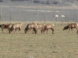 Narrow Gauge Railroad Inn