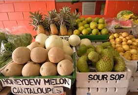 HBK Villa Rentals at Jolly Harbour