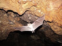 HBK Villa Rentals at Jolly Harbour