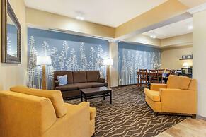 Sleep Inn And Suites Rapid City