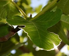 Résidence Saint Michel
