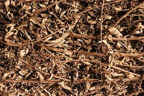 Seaes Hotel & Resort