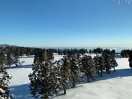 Hakone Yunohana Prince Hotel