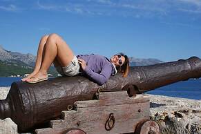 Dragan´s Den Hostel