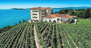 Dragan´s Den Hostel