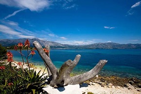 Dragan´s Den Hostel