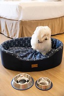 Planalto Select Hotel Ponta Grossa