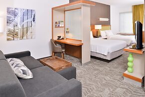 SpringHill Suites by Marriott Ashburn Dulles North