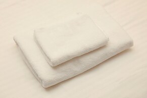 Yaesu Terminal Hotel