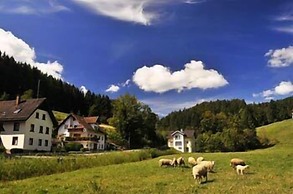Gasthof Hirschen-Dorfmühle