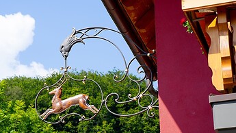 Gasthof Hirschen-Dorfmühle