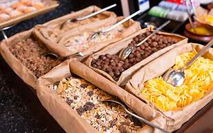 Radisson Sonya Hotel, St. Petersburg