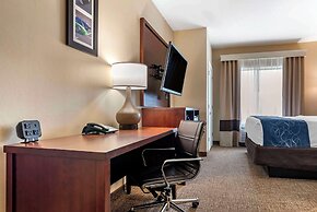 Comfort Suites Pell City I-20 exit 158