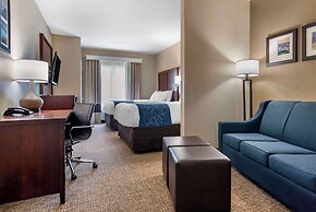 Comfort Suites Pell City I-20 exit 158