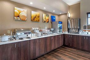 Comfort Suites Pell City I-20 exit 158