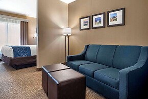 Comfort Suites Pell City I-20 exit 158
