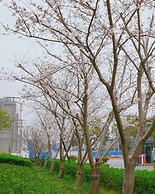 Holiday Inn Shanghai Hongqiao West by IHG