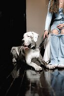 Cantera Diez Hotel Boutique