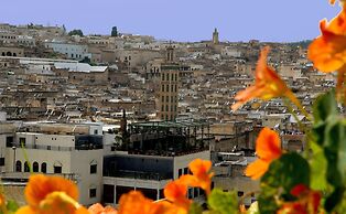 Dar Tazi - Medina View