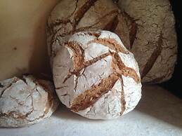 Bioagriturismo Podere Pretoia