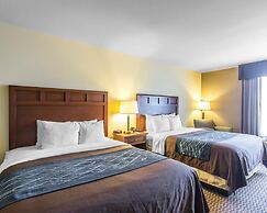 Comfort Inn And Suites