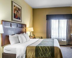 Comfort Inn And Suites