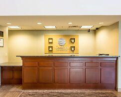 Comfort Inn And Suites