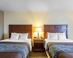 Comfort Inn And Suites