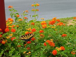 Affordable Suites Salisbury