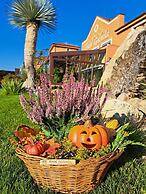 Hotel Galanta