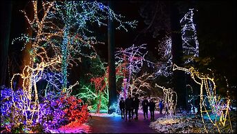 Camas Boutique Hotel