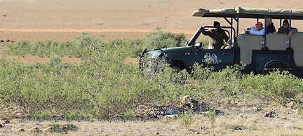 Garden Route Game Lodge