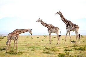 Garden Route Game Lodge