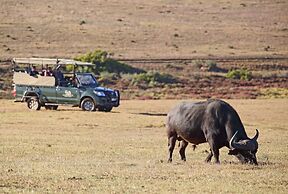 Garden Route Game Lodge