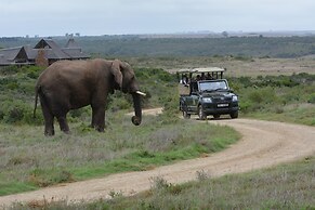 Garden Route Game Lodge